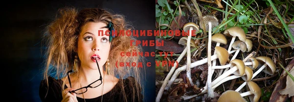 прущий лед Армянск